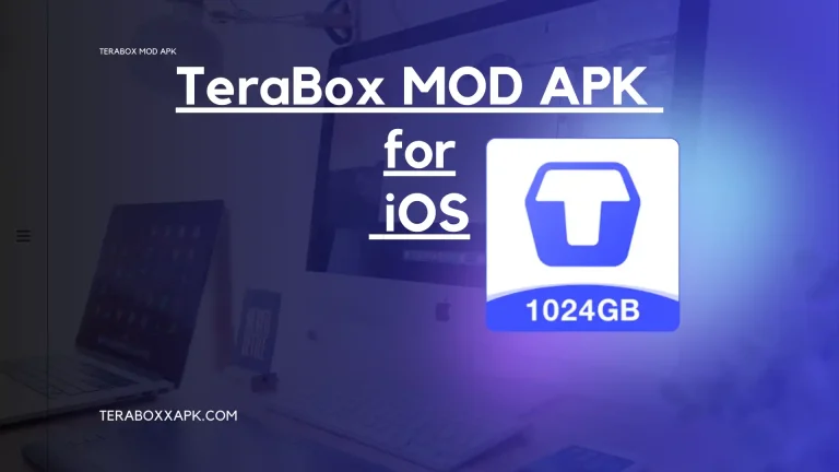 Terabox Old Version