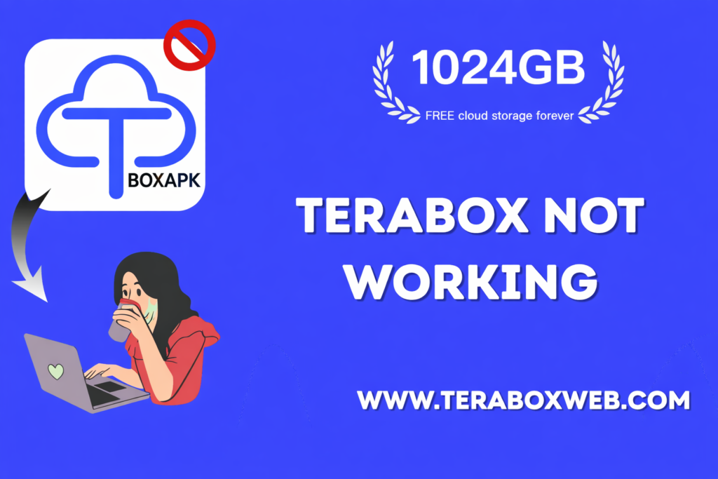 TeraBox App Not Working