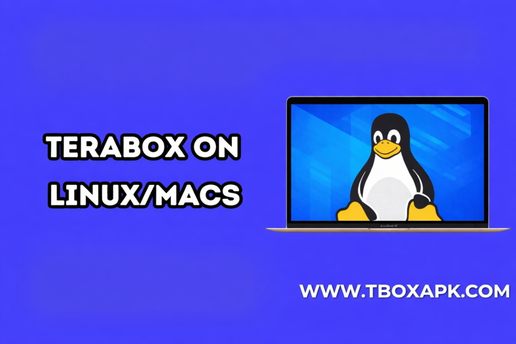 How to Use TeraBox App
